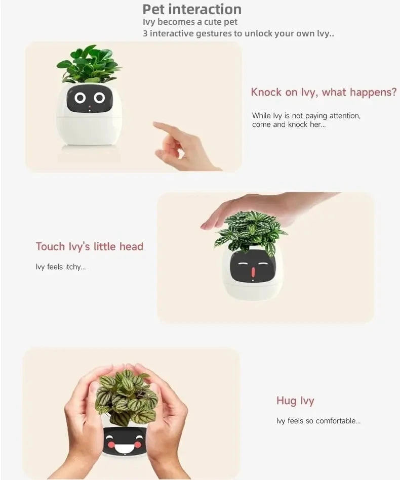 'Zoey' the Expression Planter