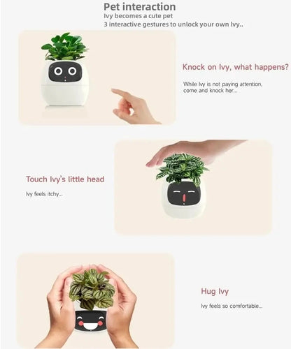 'Zoey' the Expression Planter