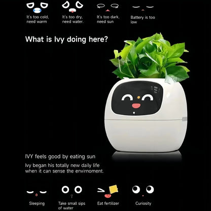 'Zoey' the Expression Planter