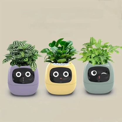 'Zoey' the Expression Planter