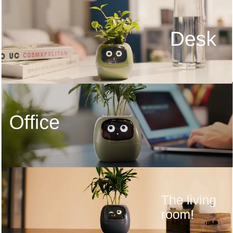 'Zoey' the Expression Planter