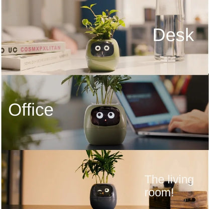 'Zoey' the Expression Planter