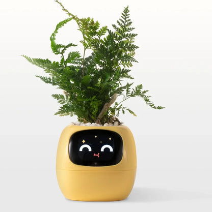 'Zoey' the Expression Planter